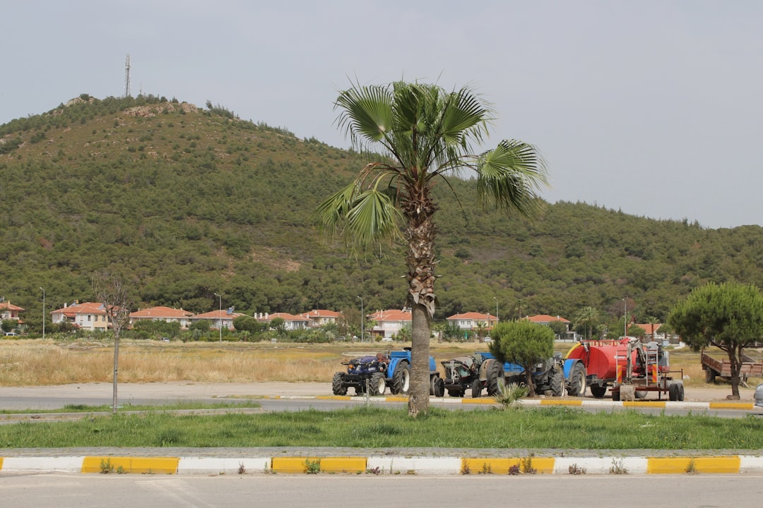 Ayvalık'ta Köy Enstitüleri Fikir Günleri Yeniden Parlıyor!