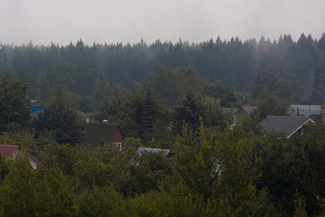 Artvin’de Ayılar ve Tilkiler Köylere İndi: Nedenleri ve Riskler!