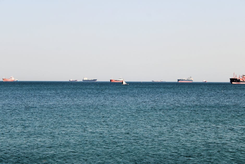 Küresel Sumud Filosu Gazze’ye Yine Yelken Açtı! Deniz Ablukasına Meydan Okuma