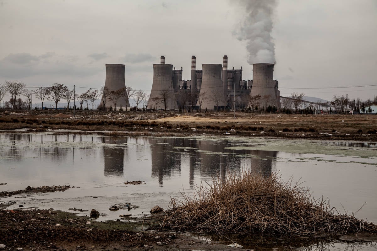 Greenpeace Türkiye’den Çevresel Veri Zaferi! Halk Sağlığı Sır Değil