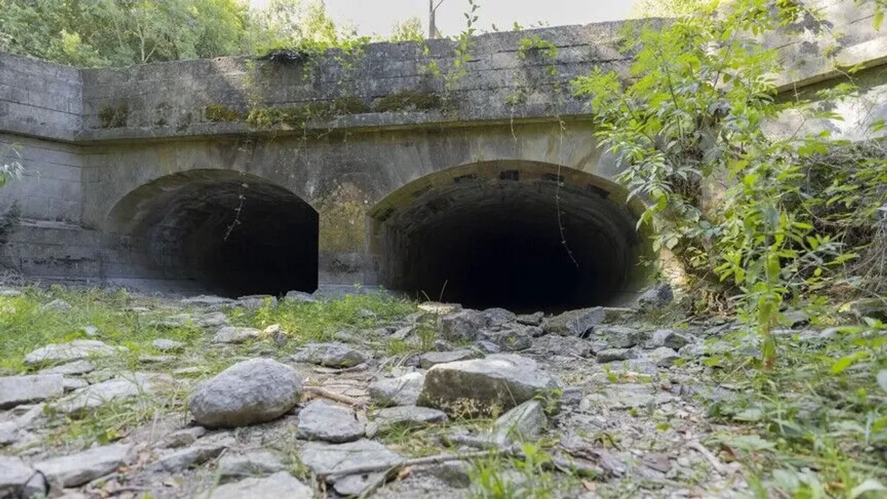 115 Yıllık Rekor Kırıldı: İngiltere Tarihin En Kurak Temmuzunu Yaşadı!