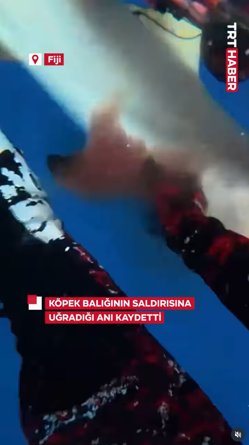 BALIK AVLARKEN YARALANDI!